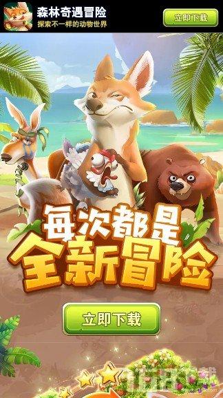 龙年春节期间,房县文旅活动精彩纷呈